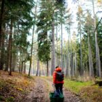 young father walks with a child in a wagon in the forest